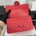 Chanel Classic Flap New Medium Size 23cm Caviar Leather Silver Hardware Shoulder Bag A1117
