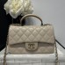 Chanel small Classic Flap with Handle Lambskin Gold Hardware Top Handle Shoulder Bag AS2431
