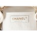 Chanel 22K Duma Backpack AS2908
