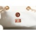 Chanel 22K Duma Backpack AS2908