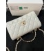 Chanel WOC Top Handle Bag CHBAN29