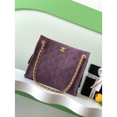 Chanel 25C Hobo Shoulder Bag AS5303