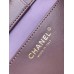 Chanel 25C Hobo Shoulder Bag AS5303