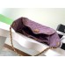 Chanel 25C small size Hobo Shoulder Bag AS5293
