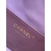 Chanel 25C small size Hobo Shoulder Bag AS5293