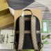 Gucci Ophidia 779901 Backpack Bag GGBGB09