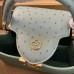 Louis Vuitton LV Capucines PM M84073 Tote Handbag Bag Purse LLBGC10